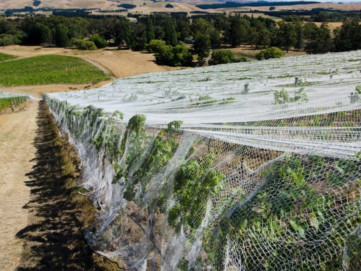 Empack Orchard Multi Row Net