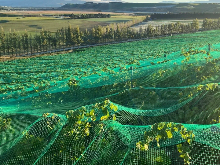 Empak green vine netting covering produce