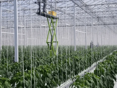 Earthtwine system setup for indoor greenhouse