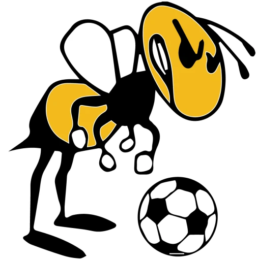 Harrington Football Logo