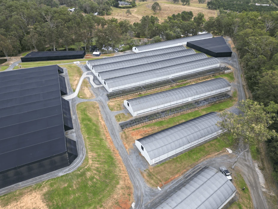 Aerial image of a modern commercial greenhouse