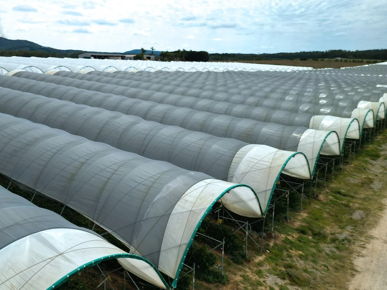 Redpath Custom Tunnel Shade