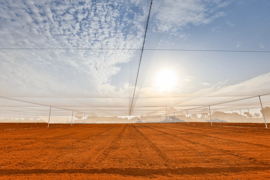 Redpath Horticulture Netting